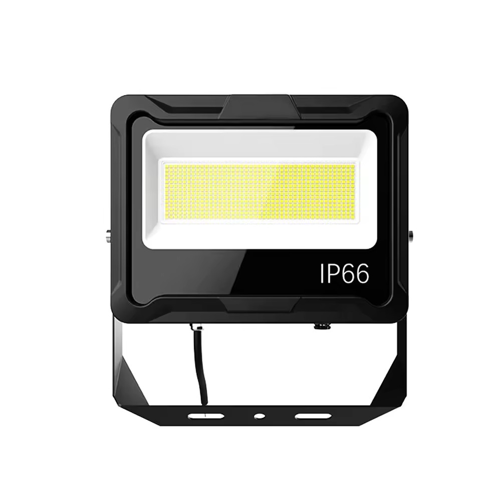 100W Novum DUXERIT Diluvium Gloria