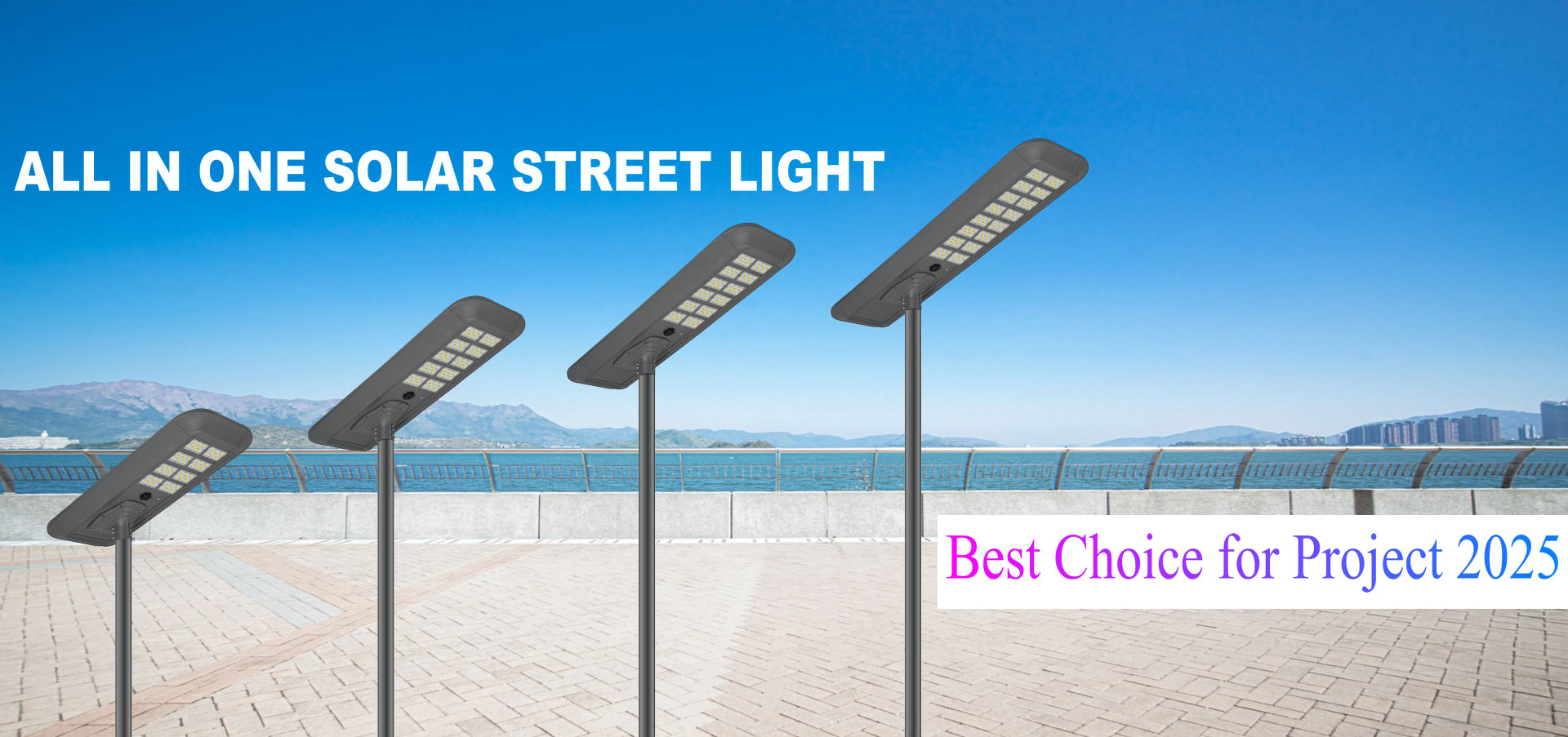 Solaris Street Gloria