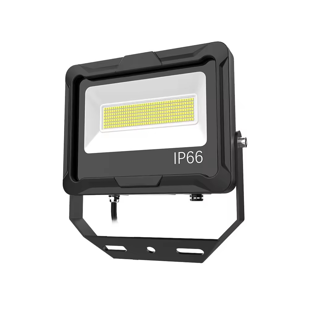 50W Novum DUXERIT Diluvium lux